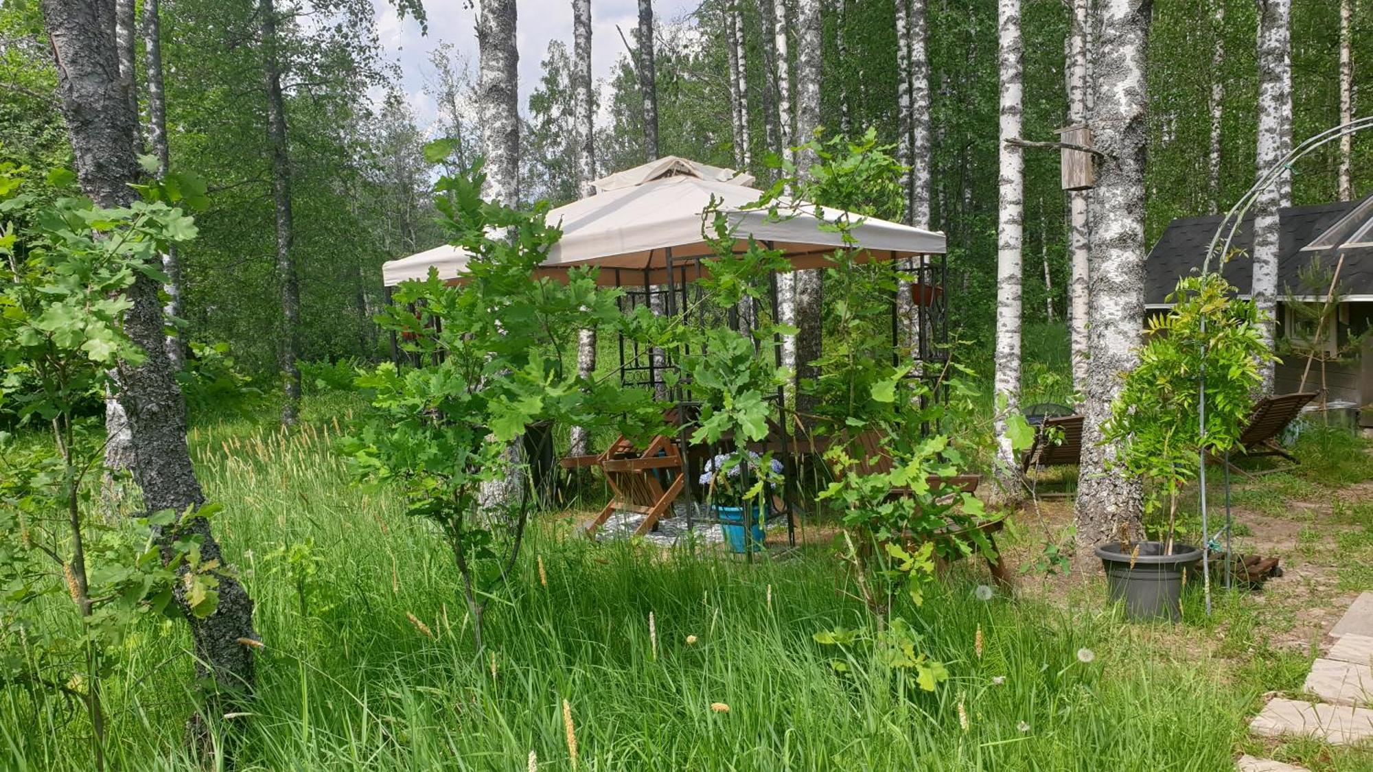 Troll House Eco-Cottage, Nuuksio For Nature Lovers, Petfriendly Espoo Exterior foto